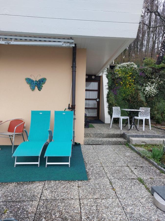 בלמון-סור-לוזאן Beau Studio Avec Terrasse Et Vue Exclusivement Pour Non Fumeurs מראה חיצוני תמונה